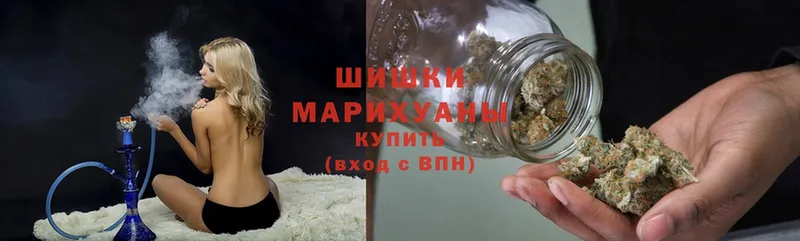 как найти наркотики  Андреаполь  Шишки марихуана индика 